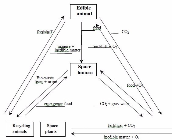 Flow-chart-zhang-mao.jpg